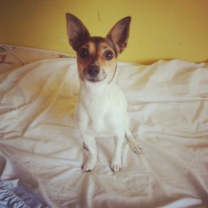 7559_10202372589250275_779079237_n