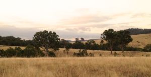 Beautiful property pic